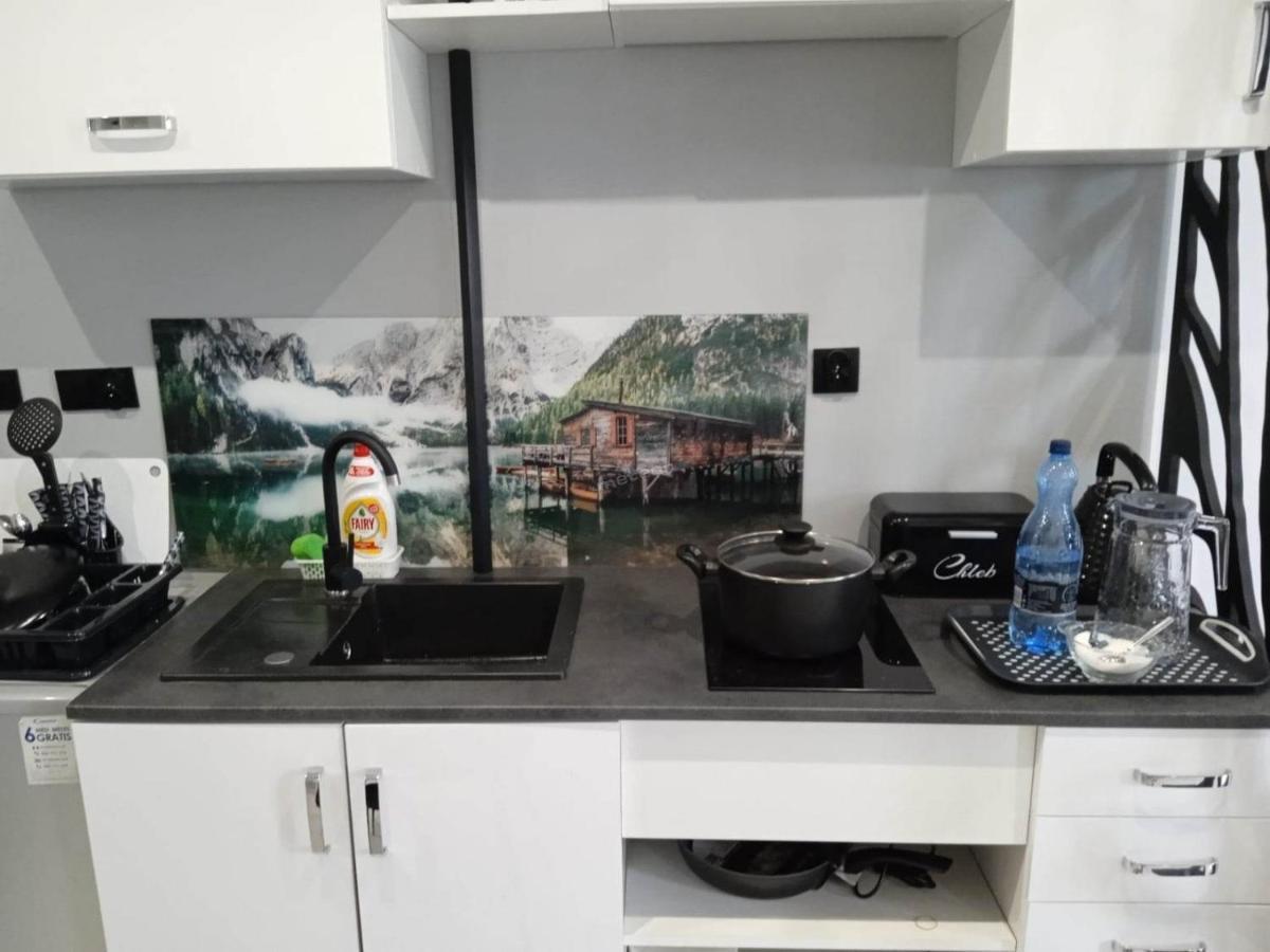 Komfortowy Apartament U Baltazara Apartment Duszniki Zdroj Bagian luar foto